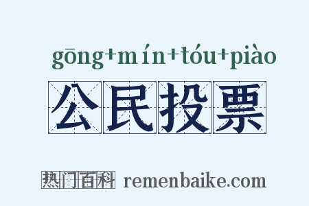公民投票是什么意思的图片
